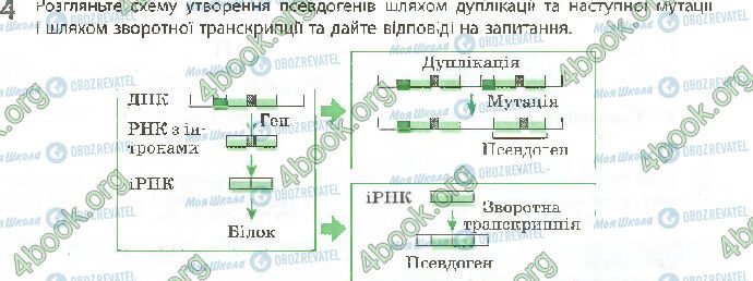 ГДЗ Біологія 10 клас сторінка Стр.55 (4)